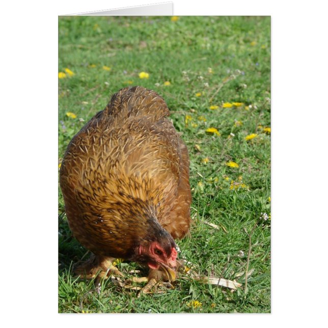 Boot Hälsningskort (Framsidan)