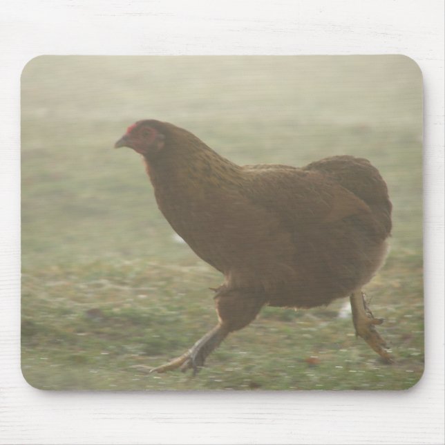 Boot i Fog Musmatta (Framsidan)