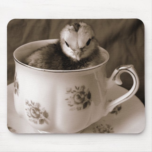 Boot i Tea Kopp Musmatta (Framsidan)