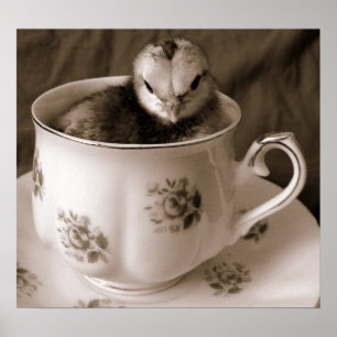 Boot i Tea Kopp Poster