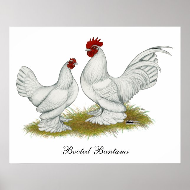 Booted Bantams Poster (Framsidan)