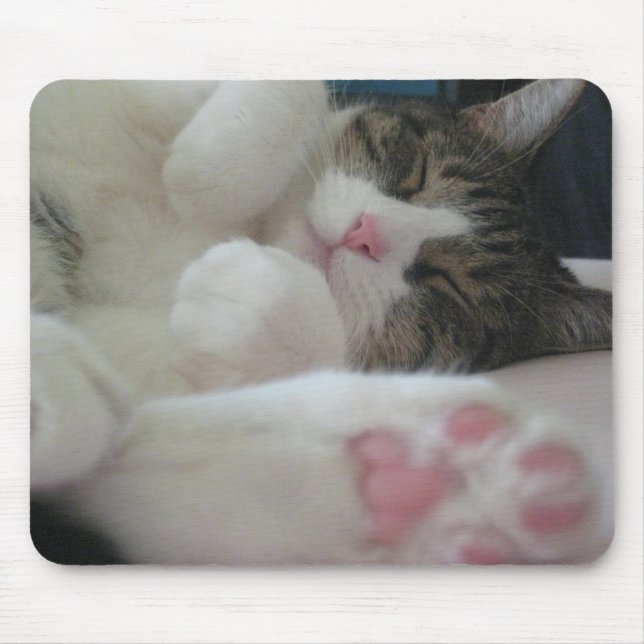 Bootsie katt musmatta (Framsidan)