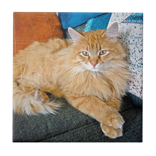 Boppy Kakelplatta (Framsidan)