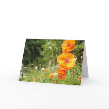 Boppy Poppies/Birthday Greeting Card