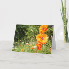 Boppy Poppies/Birthday Greeting Card Kort