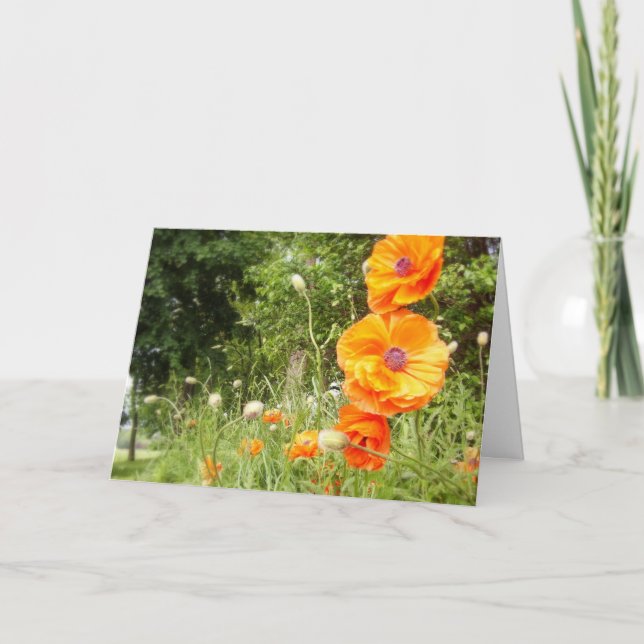 Boppy Poppies/Birthday Greeting Card Kort (Framsida)
