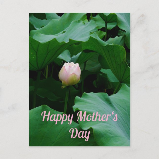 Bör Blomma Snart Vykort (Framsida)
