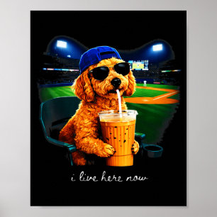 Bor här goldendoodle rolig hund baseboll fan meme poster