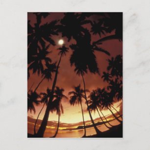 Bora Bora, Fransk Polynesia Sunset Vykort