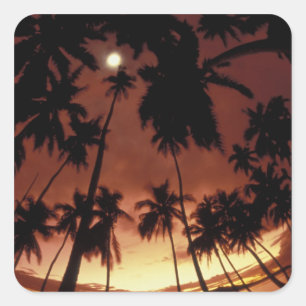 Bora Bora, Franska Polynesien Solnedgång fotografe Fyrkantigt Klistermärke