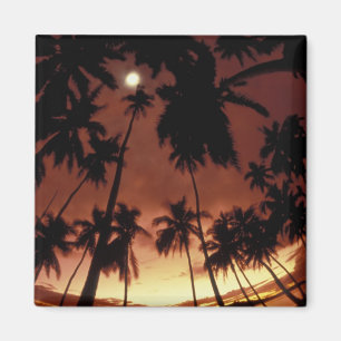 Bora Bora, Franska Polynesien Solnedgång fotografe Magnet