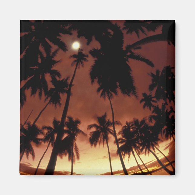 Bora Bora, Franska Polynesien Solnedgång fotografe Magnet (Framsidan)