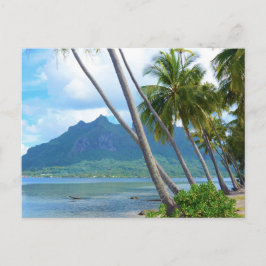 Bora Bora Paradise, Overwater Bungalow Dreams Vykort