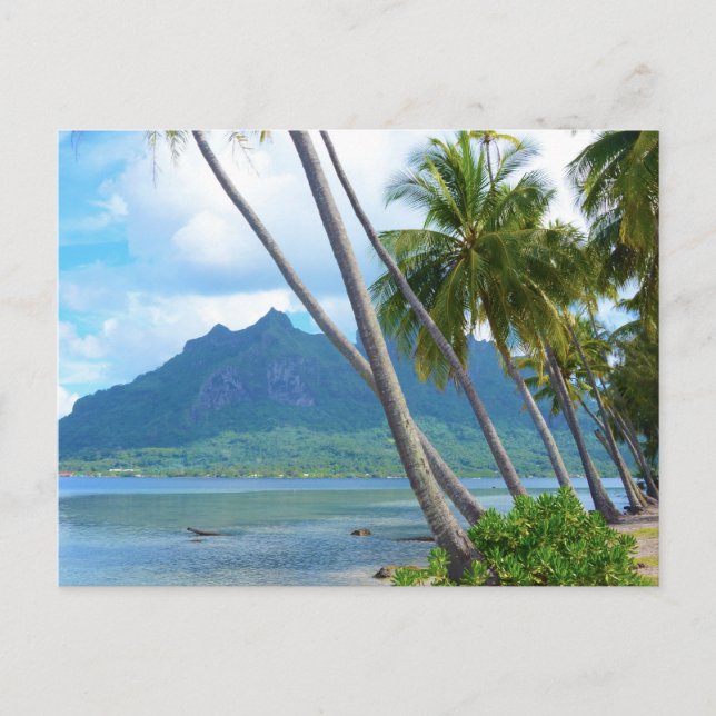 Bora Bora Paradise, Overwater Bungalow Dreams Vykort (Framsida)