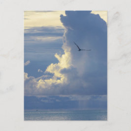 Bora Bora Paradise, Overwater Bungalow Dreams Vykort