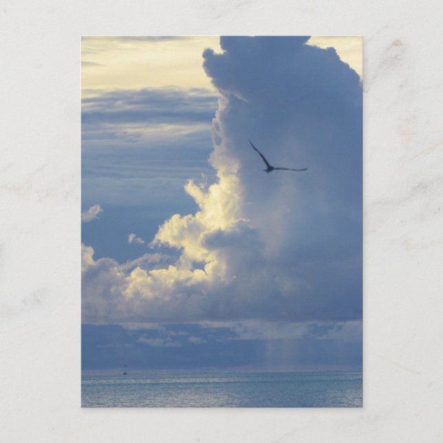 Bora Bora Paradise, Overwater Bungalow Dreams Vykort (Framsida)