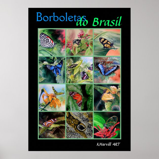 Borboletas do Brasil Poster (Framsidan)