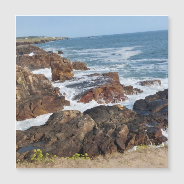 Bord de mer français en Vendée (Framsida)