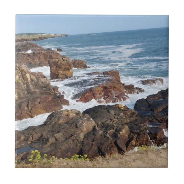 Bord de mer français en Vendée Kakelplatta (Framsidan)