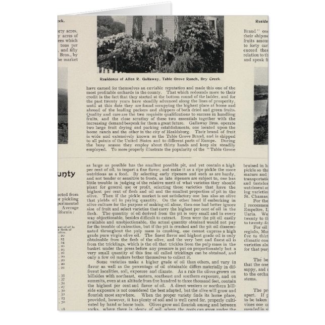 Bord Grove Ranch, Kalifornien Hälsningskort (Framsidan)