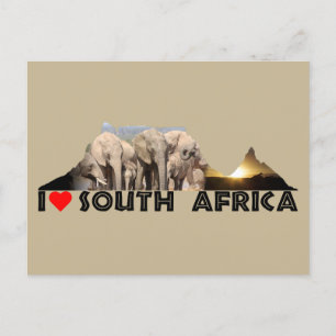 Bord Mountain Elephant Family Vykort