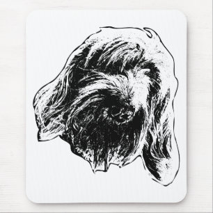 Bord Spinone Lugn Musmatta