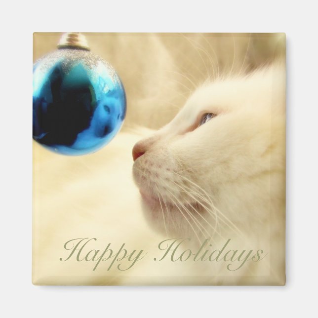 Börda på en blå stjärna magnet (Framsidan)