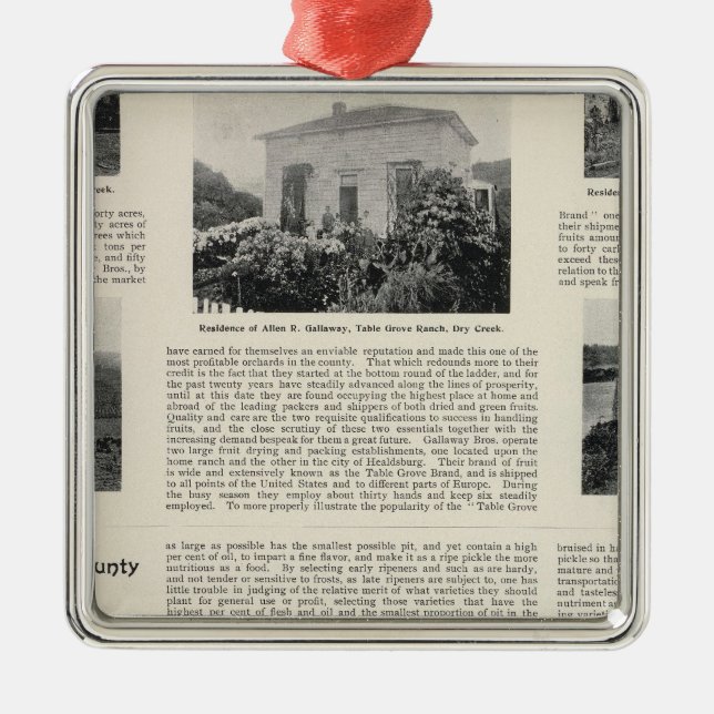 Borddungeranch, Kalifornien Julgransprydnad Metall (Framsidan)