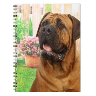 Bordeaux Mastiff Anteckningsbok