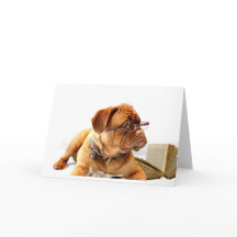Bordeaux Mastiff, Fransk Mastiff Bordeauxdog Gift
