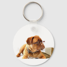 Bordeaux Mastiff, Fransk Mastiff Bordeauxdog Gift