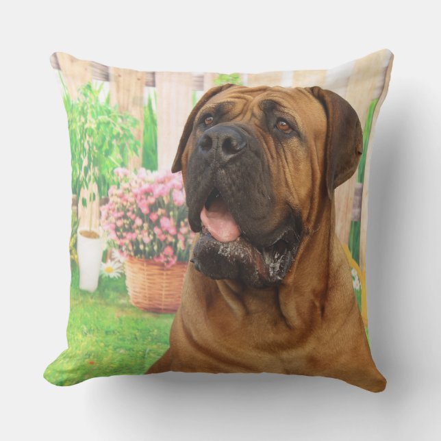 Bordeaux Mastiff Kudde (Framsida)
