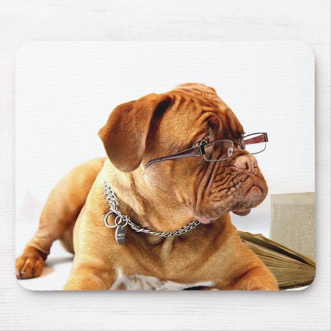 Bordeauxdog Musmatta (Framsidan)