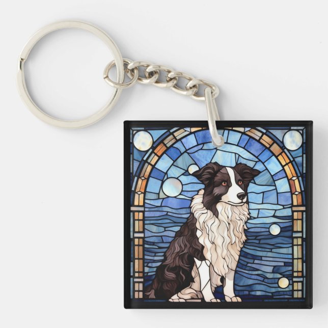 Border Collie  (Framsidan)