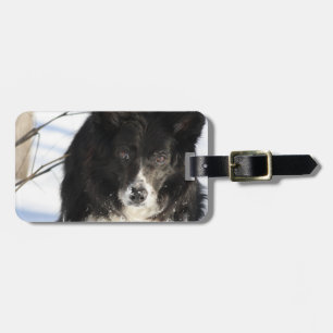 border-collie-8.jpg bagagebricka
