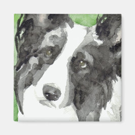 Border Collie Akvarell Magnet