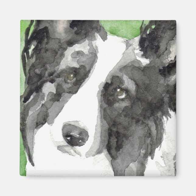 Border Collie Akvarell Magnet (Framsidan)