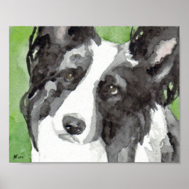 Border Collie Akvarell Poster