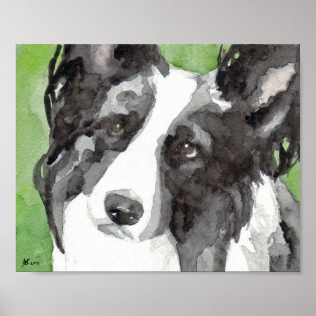 Border Collie Akvarell Poster (Framsidan)