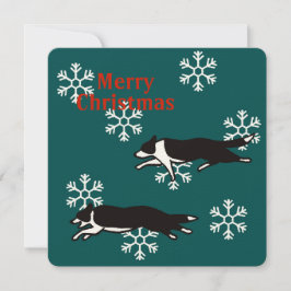Border collie Christmas card カード Kort