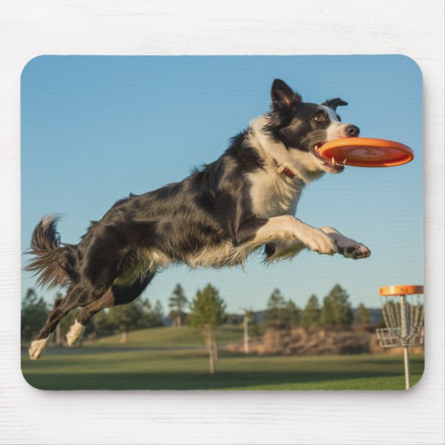 Border Collie Disc Golf Mousepad Musmatta (Framsidan)