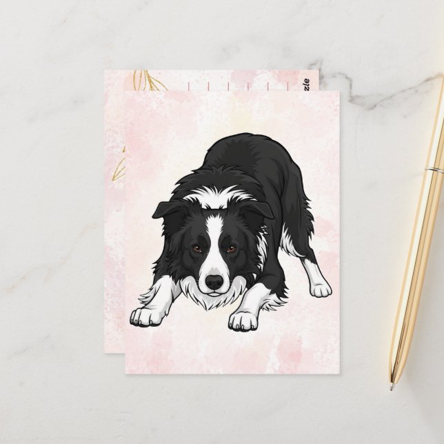 Border Collie Dog Greeting Card Vykort (Fram/Back In Situ)
