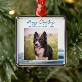 Border Collie Foto Vinter Snö God Jul Julgransprydnad Metall