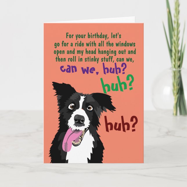 Border Collie Funny Birthday Card for Dog Owner   Kort (Framsida)