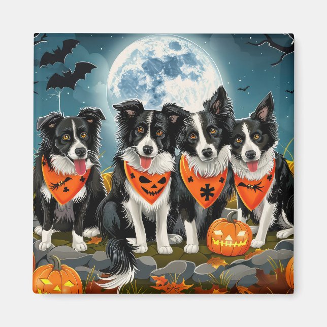Border Collie Halloween Kuslig Magnet (Framsidan)