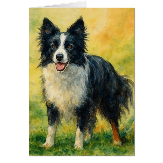 Border Collie Hälsningskort (Framsidan)