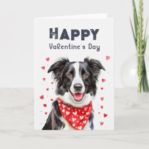 Border Collie Hjärtduk Glad Alla Hjärtans Dag Helgkort