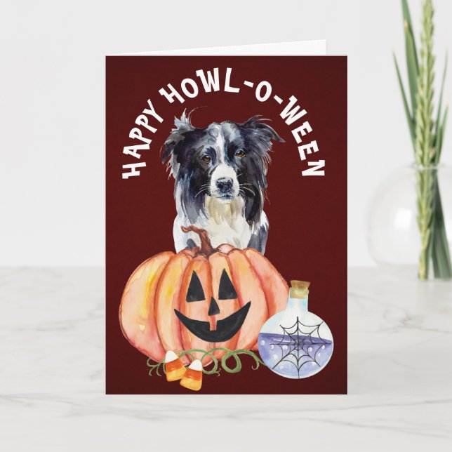 Border Collie Howl-o-Ween hälsning Kort (Framsida)