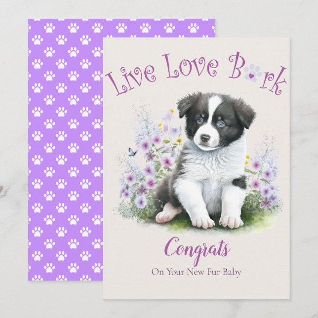 Border Collie Hund Adoption, Gotcha Day Kort (Fram/baksida)