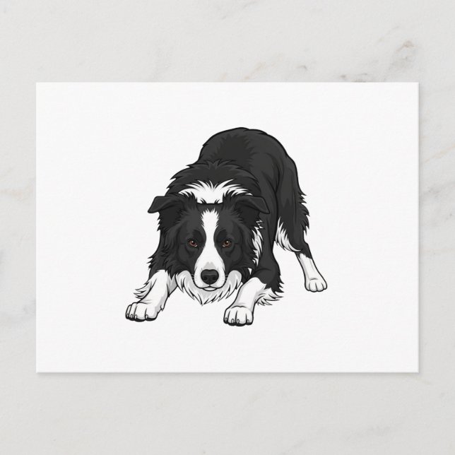 Border Collie Hund Helg Vykort (Framsida)